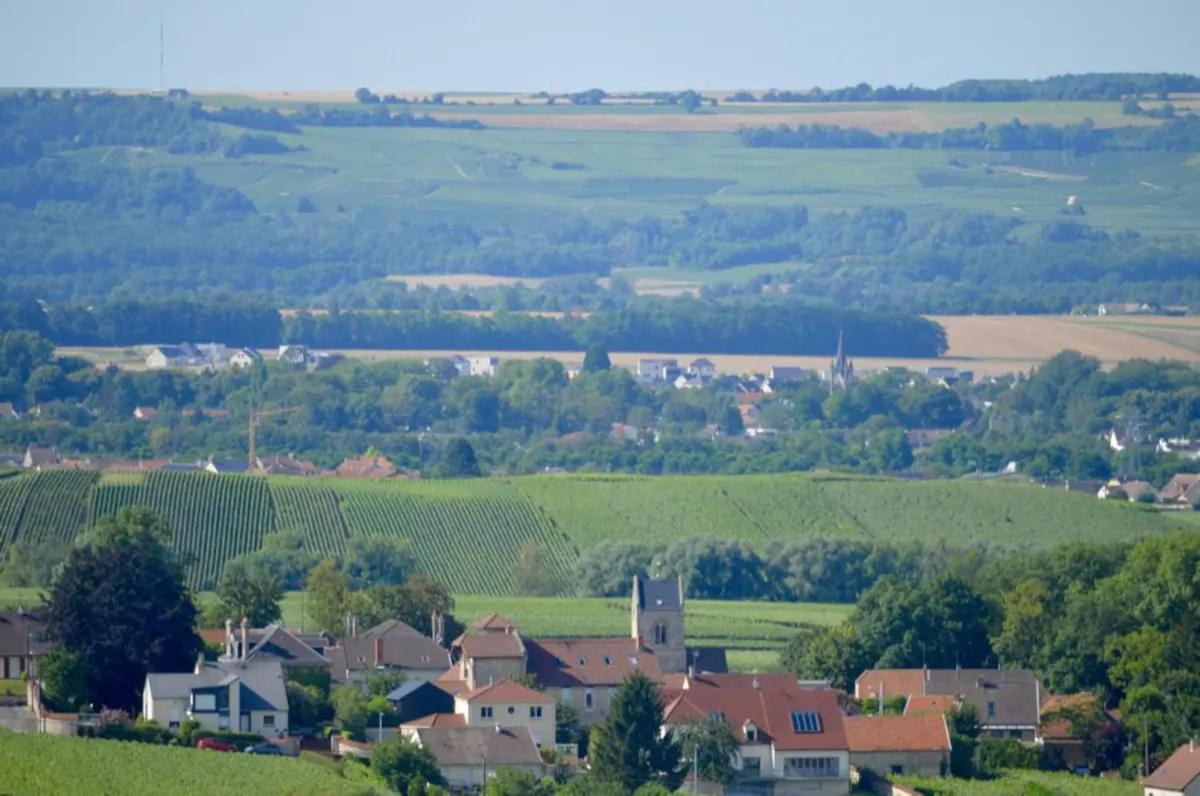 Agreable Maison Petit Jardin A 7 Minutes De Reims Pargny-les-Reims Luaran gambar